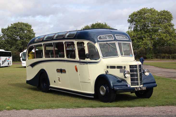 Royal Blue Bedford OB Duple 1411